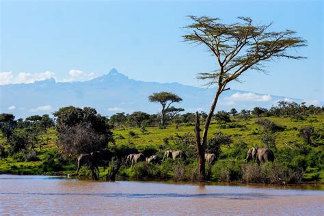 Top Attractions in Kenya
