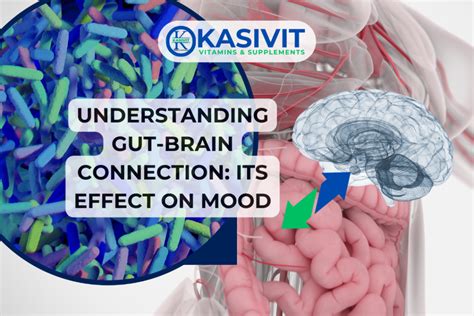 Understanding the Gut-Brain Connection: How Your Digestive Health Affects Mood