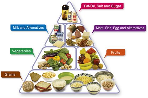 How to Create a Balanced Diet for Optimal Health