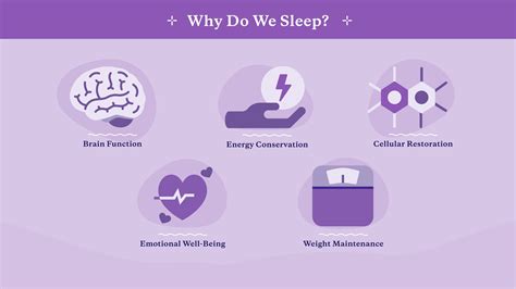 Why Sleep is More Important Than You Think for Health and Longevity