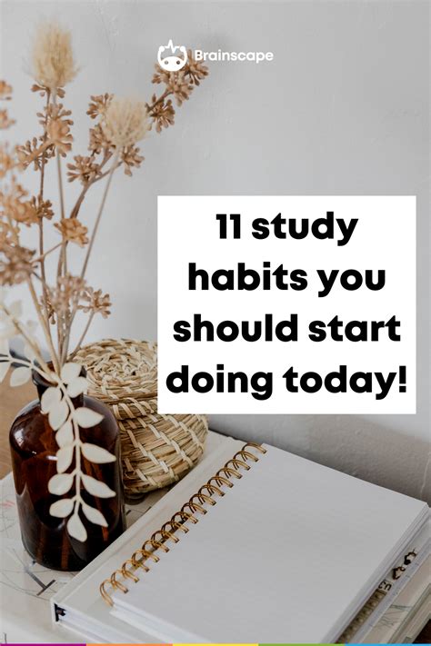 How to Build Strong Study Habits and Stick to Them