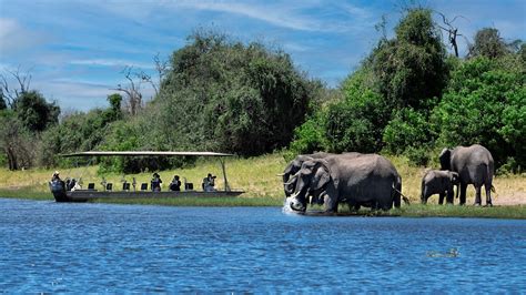 Top Attractions in Botswana