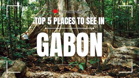 Top Attractions in Gabon