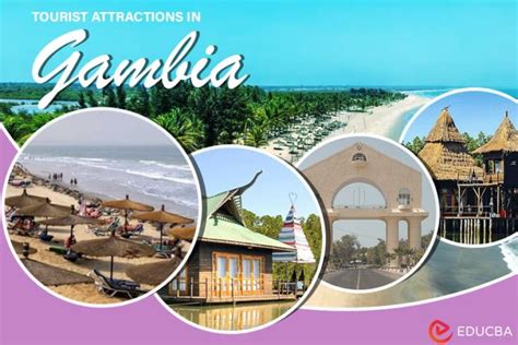 Top Attractions in Gambia