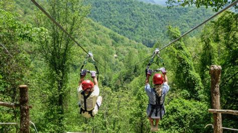 Top 5 Adventure Activities to Try on Your Next Trip